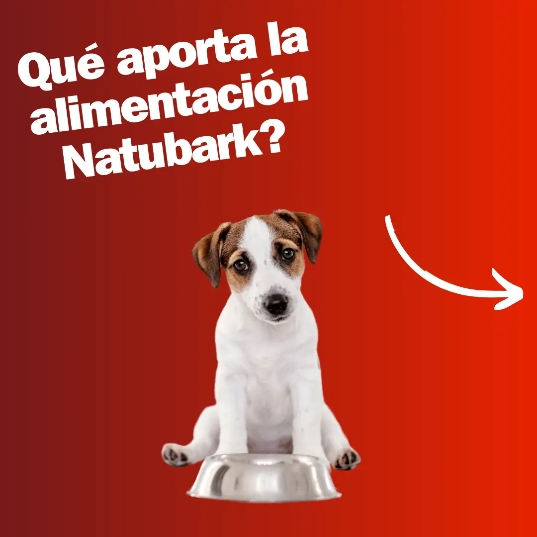 alimento-natural-para-perros-argentina
